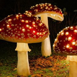 Father Christmas at Enys Grotto + Lantern Trail