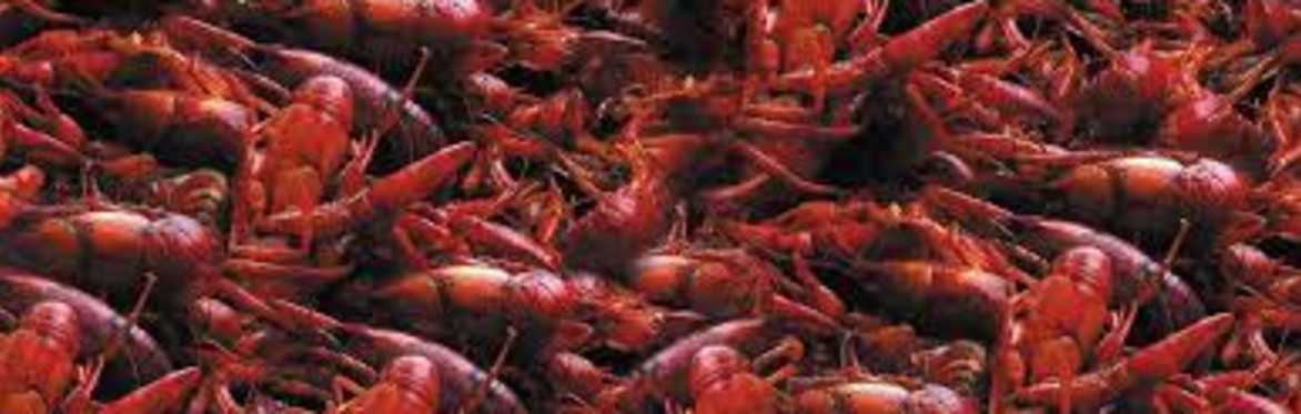 AGGIE CRAWFISH BOIL
