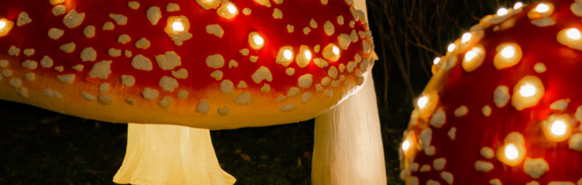 Father Christmas at Enys Grotto + Lantern Trail