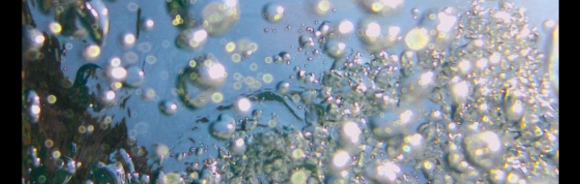 Bubble House
