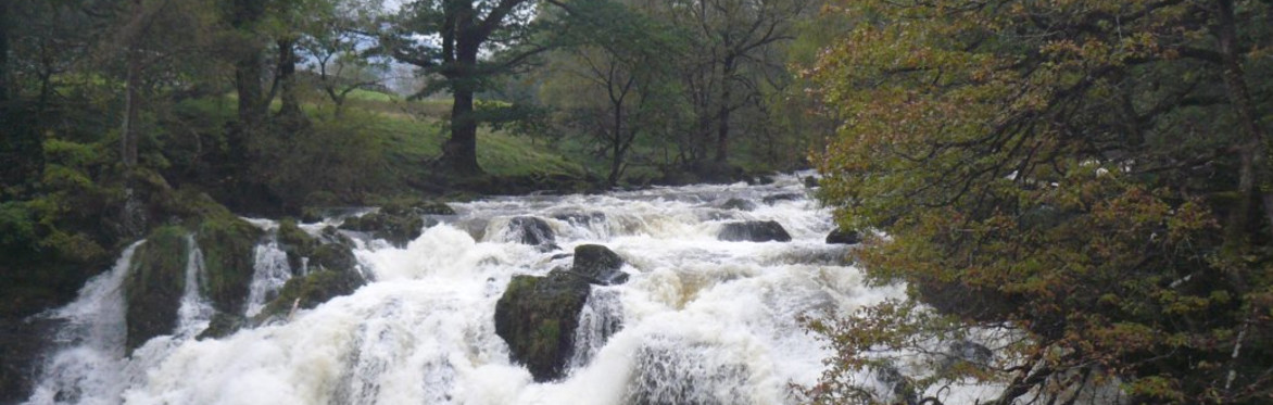 Betws to Trefriw - a woodland return ~ Betws i Drefriw - dychwelyd drwy'r coetir
