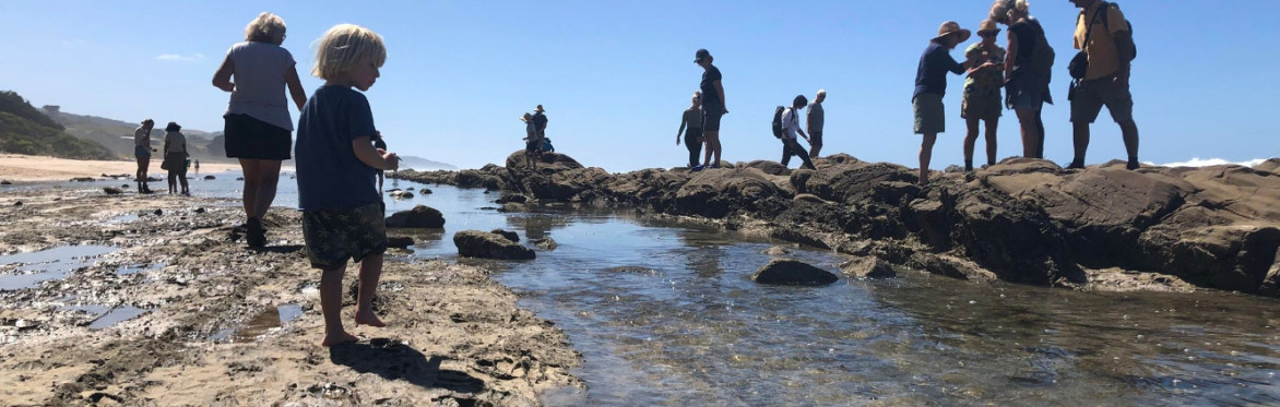 Seaweed Workshop