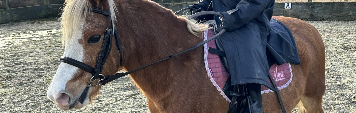 Florentina's Footstep's Mini Pony Camp