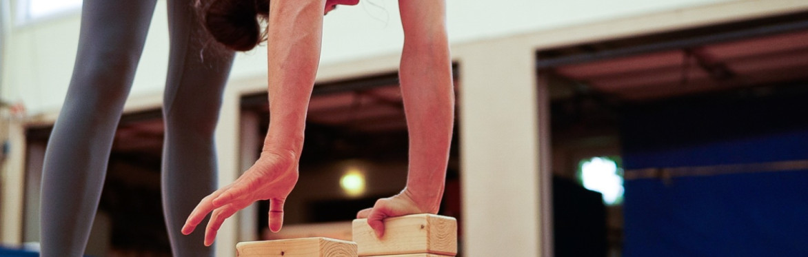 Handstand Press Lab 2026