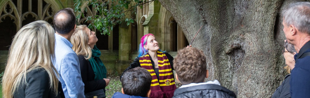 Harry Potter in Oxford: Private Guided Tour