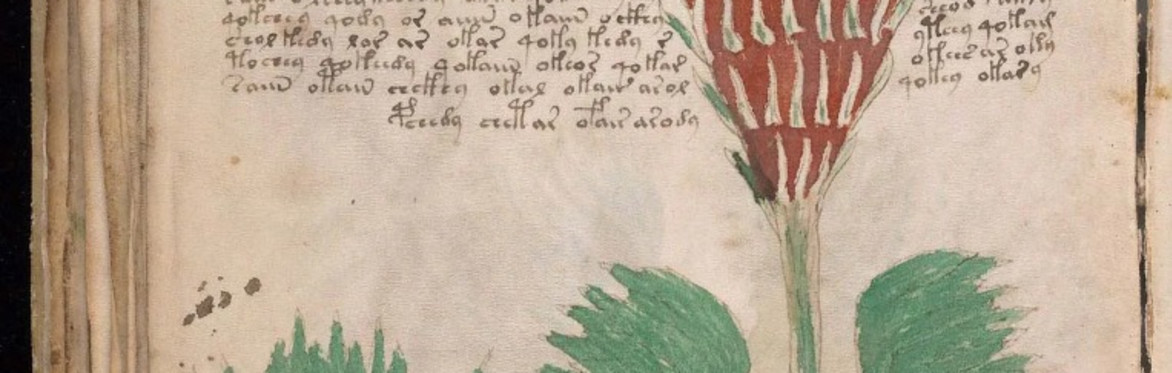 Seminar #15 - Eleonora Matarrese: Edible Wild Plants in the Middle Ages – From Ethnobotany to Philology