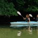Kayak Hire - Double image