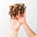Finger Puppet - Animals image
