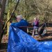 Bushcraft Full-Day Gift Voucher image