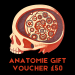 Gift Voucher for Anatomie Events (£50) image