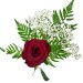 Classic Single Red Rose image