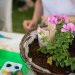 Treehouse Garden Workshop Gift Voucher image