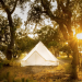 Shared Glamping w/ Twin Bed (1 person) image