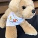 Sandy Stuffies image