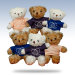 Teddy Bear - 30cm - Includes Postage & Packaging image