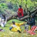 Young Africans in bright leisurewear sitting by a tree