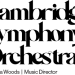 CSO Logo