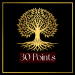 30 Points image