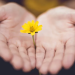 £20 Donation to Helston Chamber Choir image