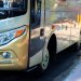 Paris to Festival Buses (Sat 1 Aug 2026) - Transportation support for EYF participants image