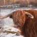 £150 Hepple Wilds Voucher image