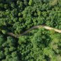 nature-1.jpg?_a=BAAHWXDQ