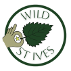 Wild St Ives