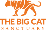 The Big Cat Sanctuary