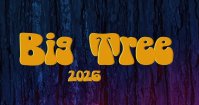Big tree festival