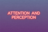 Centre for the Ecologies of Attention and Perception