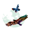 The Eagle & the Butterfly Books