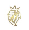 Lions Travel and tours