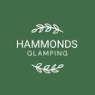 SWINGDYFEST at Hammonds