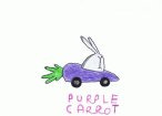 Purple Carrot Enterprises