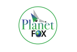 Planet Fox