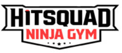 Hitsquad Ninja