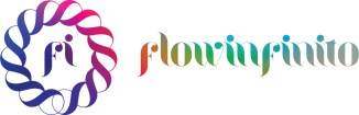 Flow Infinito