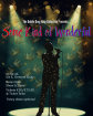 The Dublin Drag King Collective Presents