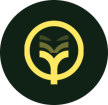 Holofy Health