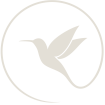 Events by Eclipse Into Harmony