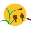 Dane County Humane Society - Camp WildSide