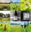 Woodfine Wine