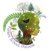 Forest School Ireland