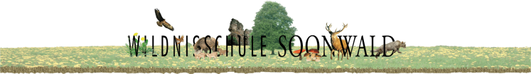Wildnisschule Soonwald