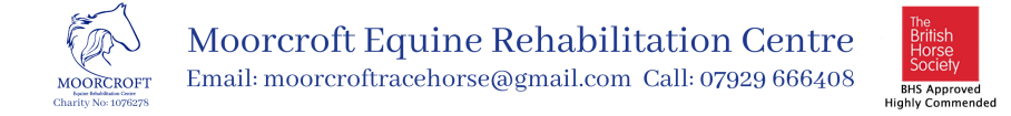 Moorcroft Equine Rehabilitation Centre