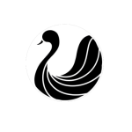 Black Swan Collective