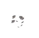 Dark Peak Arts