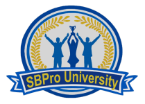 Small Business Like A Pro, LLC