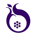 The Reconstructionist Rabbinical Association