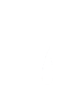 HOROVOD